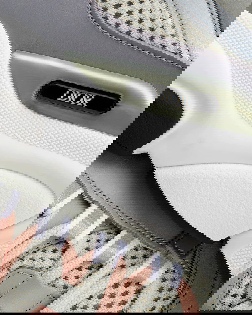 DIOR B22 Sneaker - Creps City